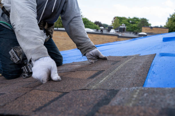 Best Roof Waterproofing Services  in Carter Lake, IA